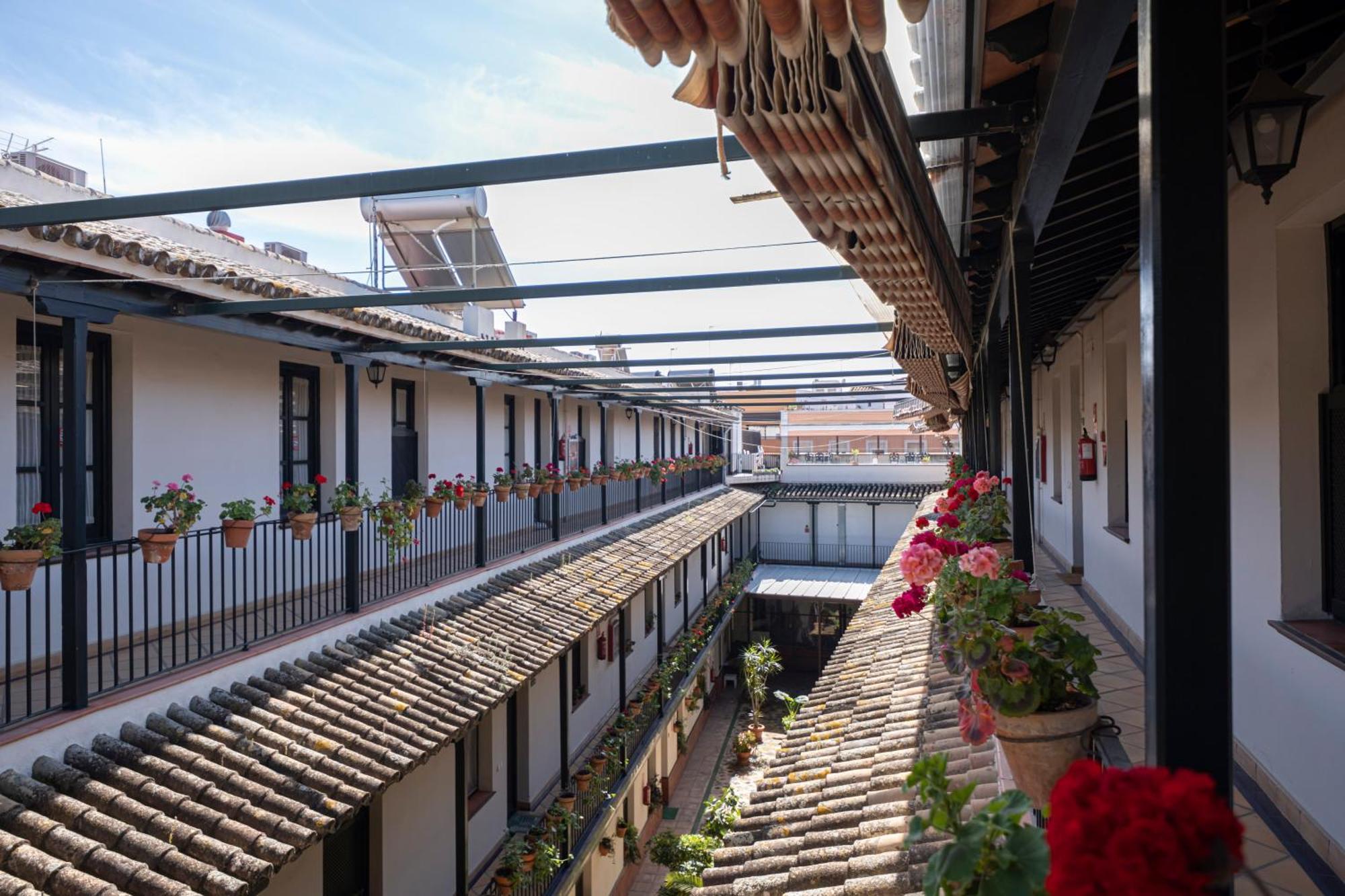 Apartamento Con Encanto En Patio Sevillano Exteriér fotografie